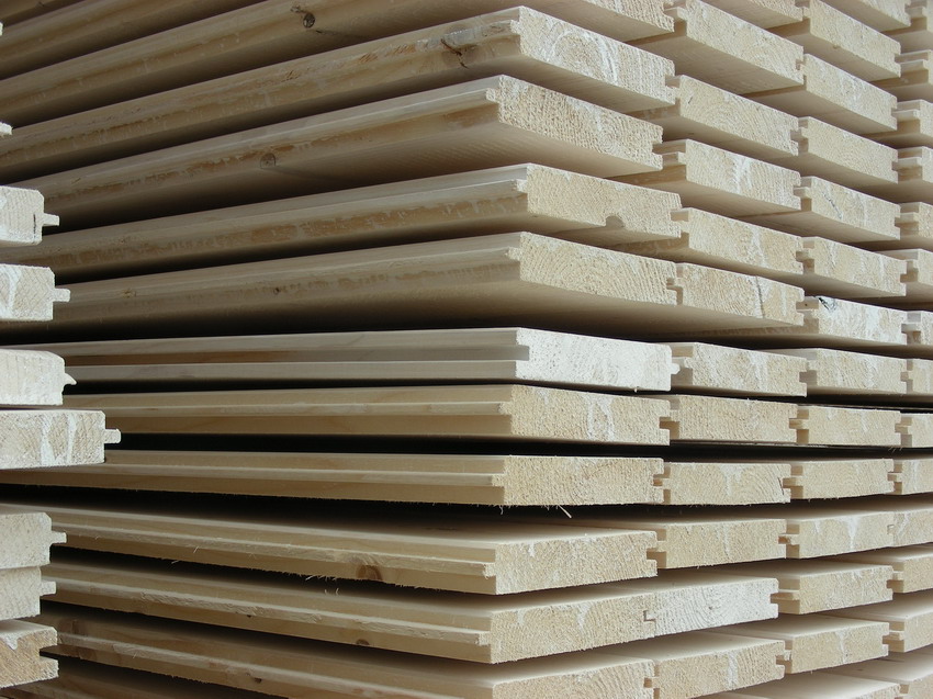 DSCN1319_ridimensionare